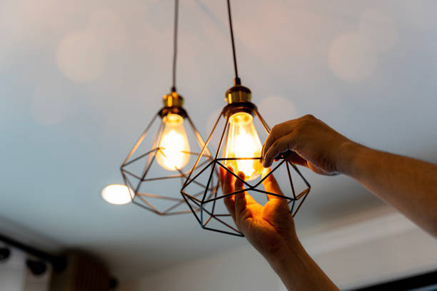 Best Residential Electrician Services  in Labelle, FL